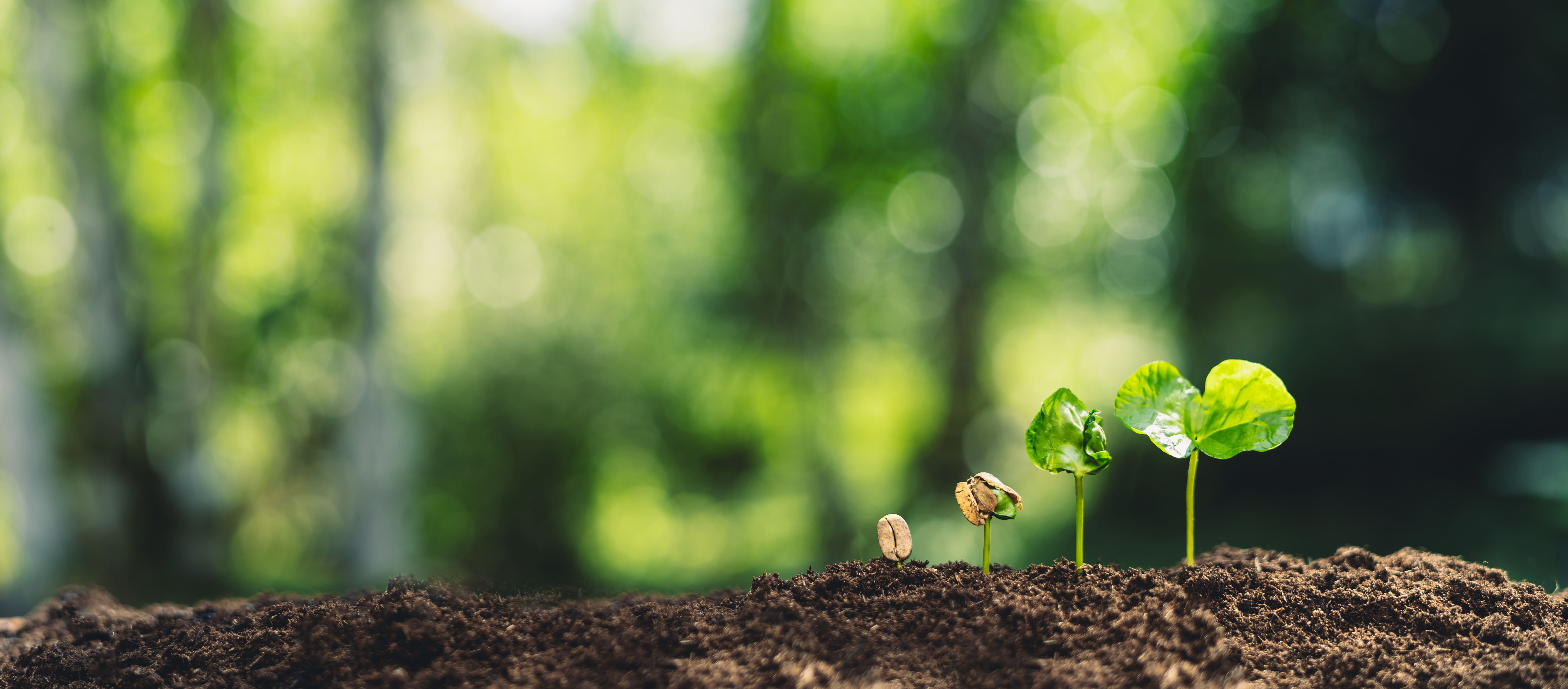 AdobeStock_250597018-1